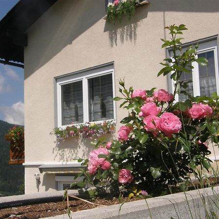 Ferienwohnung Brennseeblick เฟลด์อัมเซ ภายนอก รูปภาพ